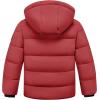 WULFUL Kid’s Winter Coat Detachable Hat Puffer Windbreaker Warm Cotton Jacket