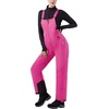 WULFUL Womens Insulated Snow Bibs Waterproof Winter Ski Pants Snowboarding Overalls