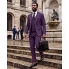 WULFUL Men’s 3 Piece Suit Set Slim Fit 2 Button Blazer Business Tuxedo Vest Jacket Pants Formal Wedding Prom(Purple)