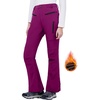 WULFUL Women’s Snow Ski Pants Waterproof Insulated Fleece Lined Winter Softshell Hiking Pants(Purple)