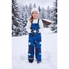 WULFUL Kids Waterproof Ski Bib Boys Girls Winter Snow Pants(Blue Sky)