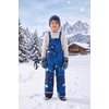 WULFUL Kids Waterproof Ski Bib Boys Girls Winter Snow Pants(Blue Sky)